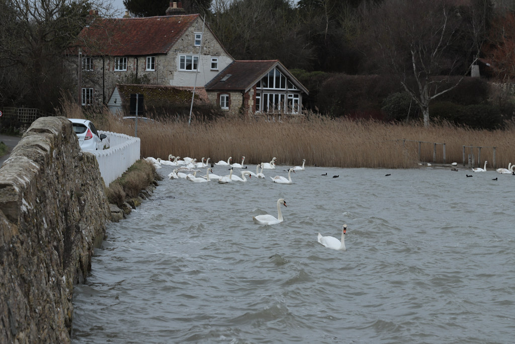 RYL The Causeway, Freshwater, IoW River Yar Loop Clock… Flickr