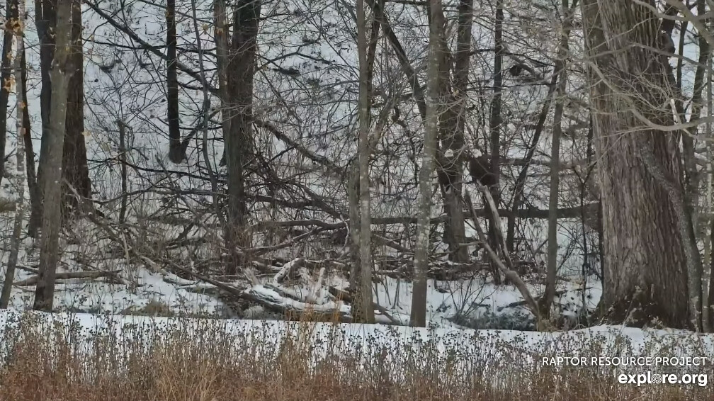 Screenshot (47) Lisa Guy Flickr