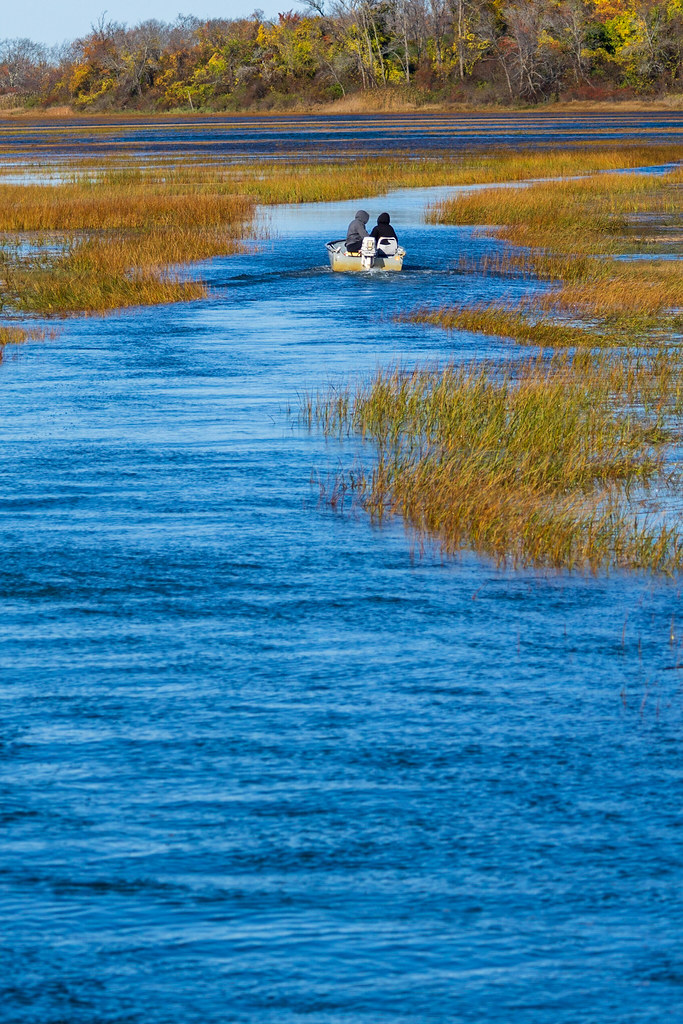 High tide ride On the marshes near Cadtle Hill Dan Ryan Flickr