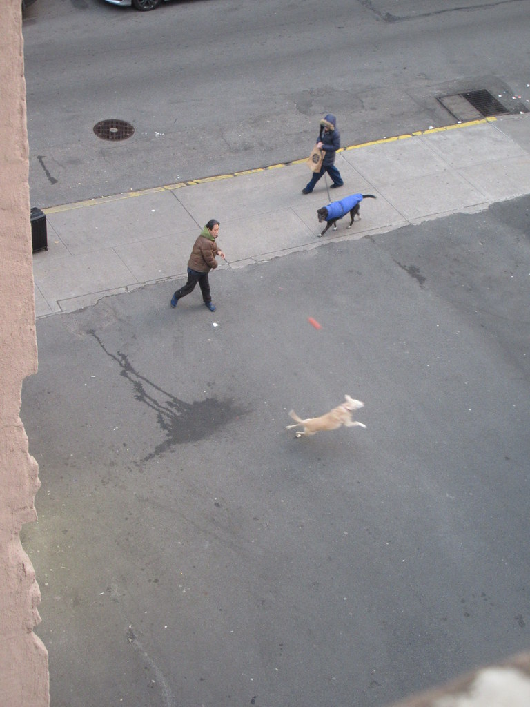 2023 Throwing Ball to Dog during Game of Catch 0148 Flickr