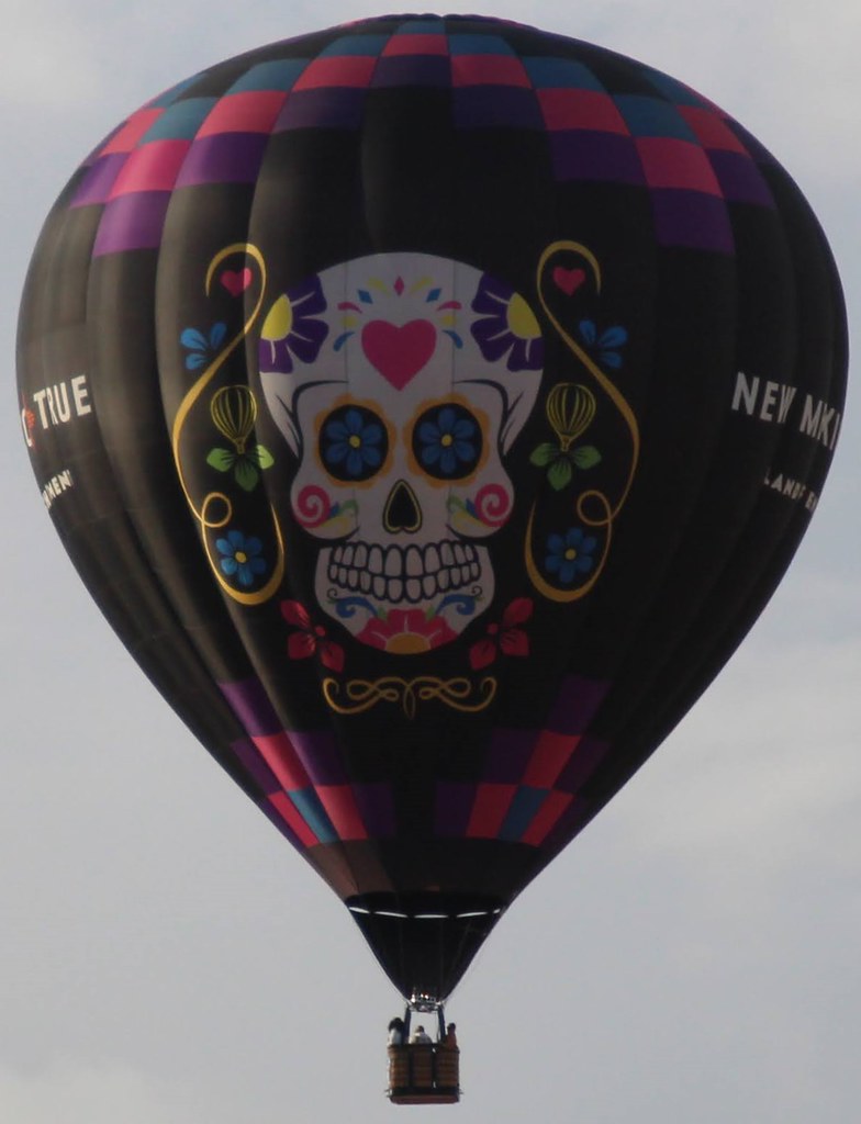 N69523 Name True Lee New Mexico Pilot/Owner Bill Lee Loc… Flickr