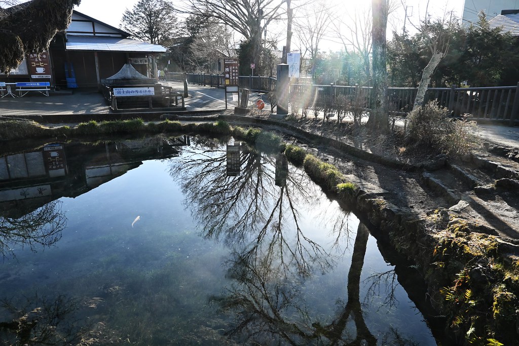 Tokyo Japan Trip.106 Nikon Zfc and Kit lens. Tokyo Japan T… Flickr