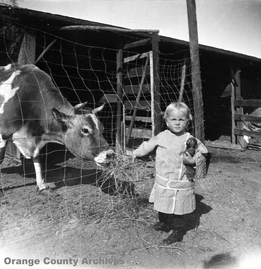 Virginia Knott, Knott family homestead, Newberry Springs, … Flickr