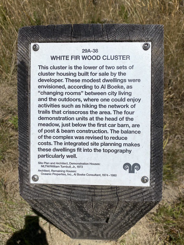 White Fir Wood Cluster