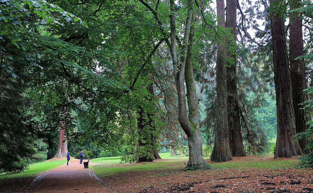 Dans le parc du domaine de Mariemont, Morlanwelz, Province… Flickr