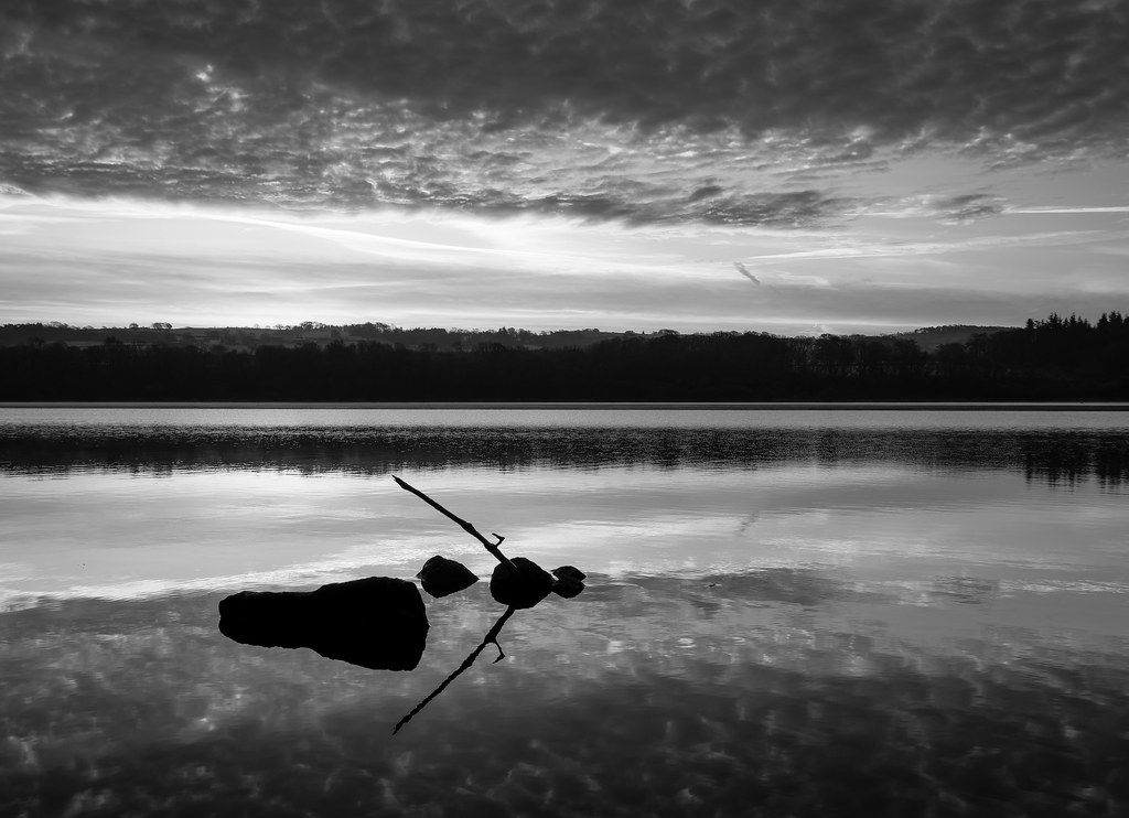 Rocks and stick, Lochwinnoch, Renfrewshire, Scotland, UK B… Flickr