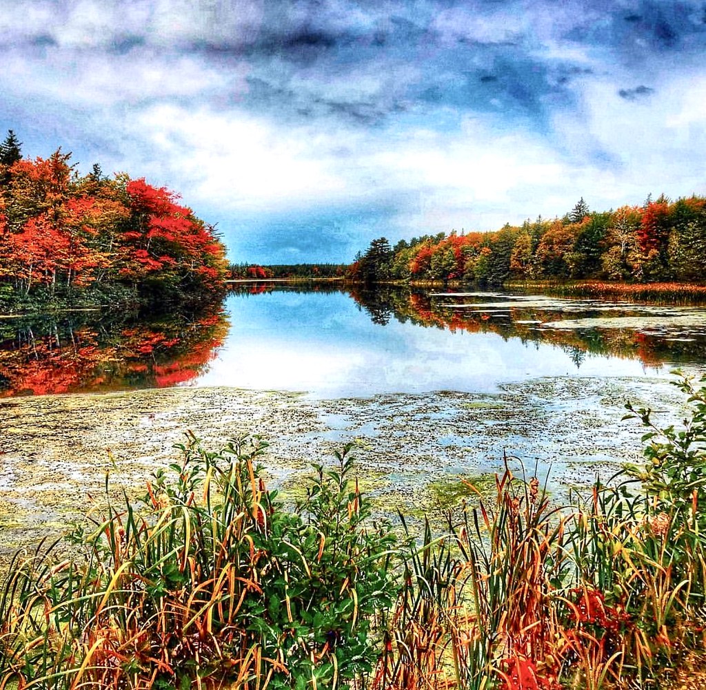 Murray Harbor Prince Edward Island David Carr Flickr