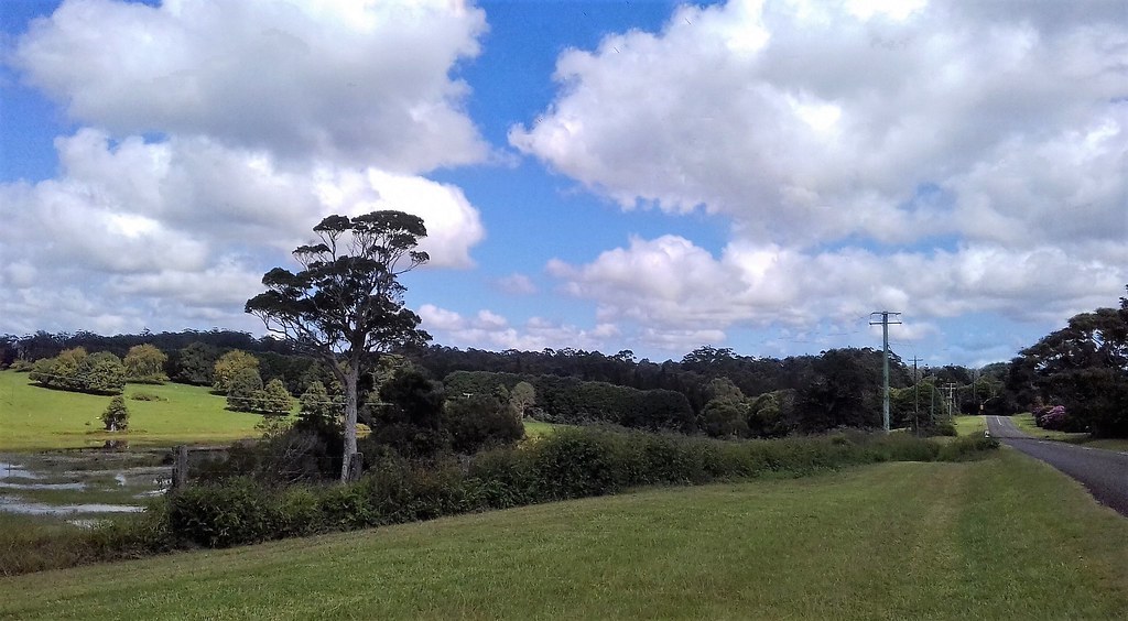 20220325_103416.Driving out of Maleny toward Reeseville Flickr