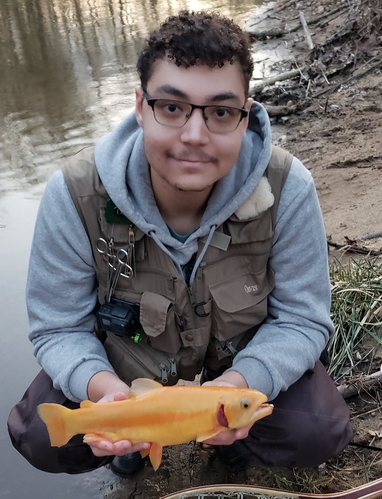 Golden Trout Photo by Adam Krauss Maryland Fisheries Service DNR
