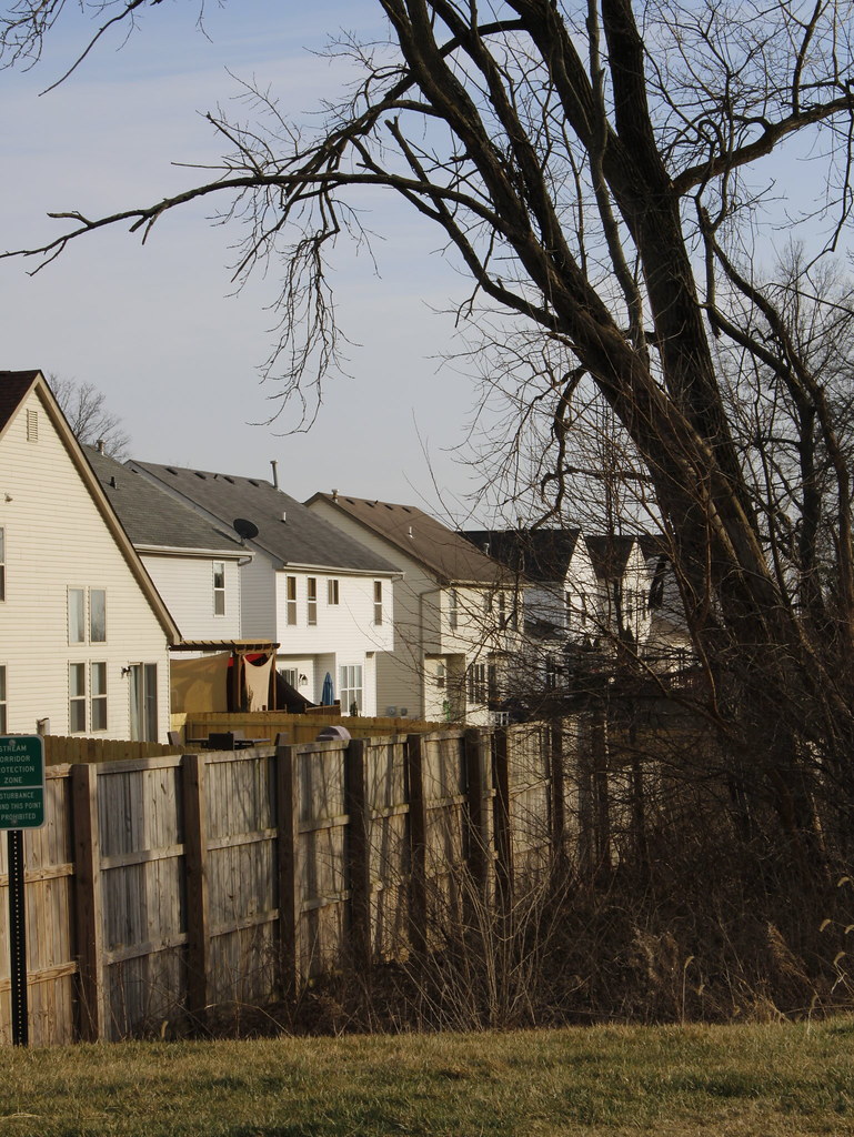 P3_5_Bass Max Bass Flickr