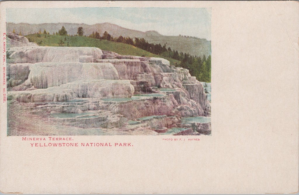 Minerva Terrace Flickr