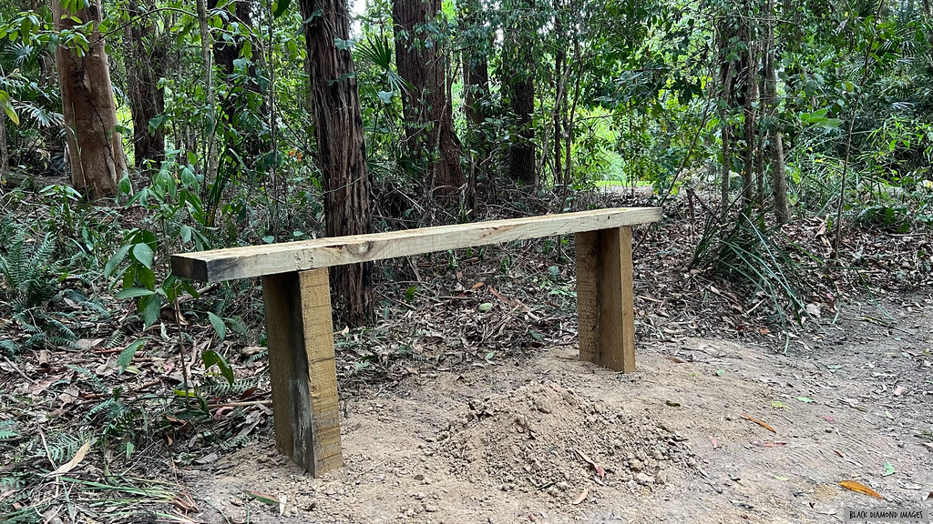 New Treated Pine Seat Creaking Tree Flat February 2023 ,… Flickr