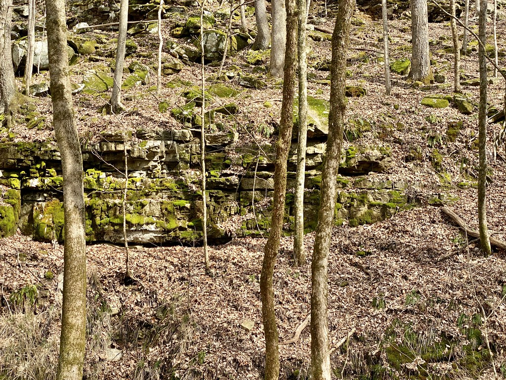 Mammoth Cave National Park, Mammoth Cave, KY The largest k… Flickr