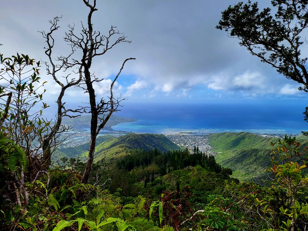 IMG_0938 Richard Seaquist Flickr