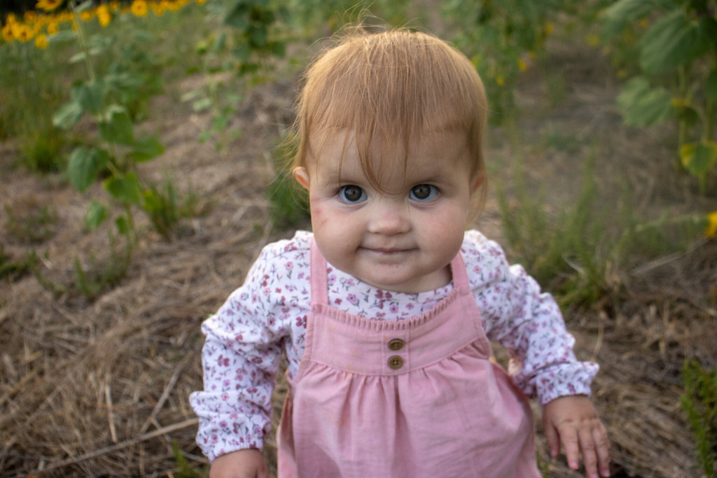 Havana JaneRose Sunflower field photography Melissa Skye Flickr