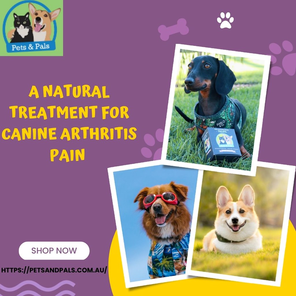 A Natural Treatment for Canine Arthritis Pain 1 Our orga… Flickr