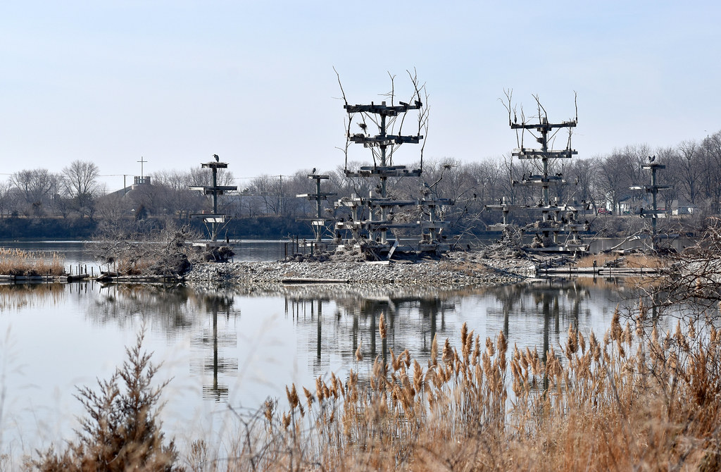 Renwick Lake Preserve of Will County Flickr