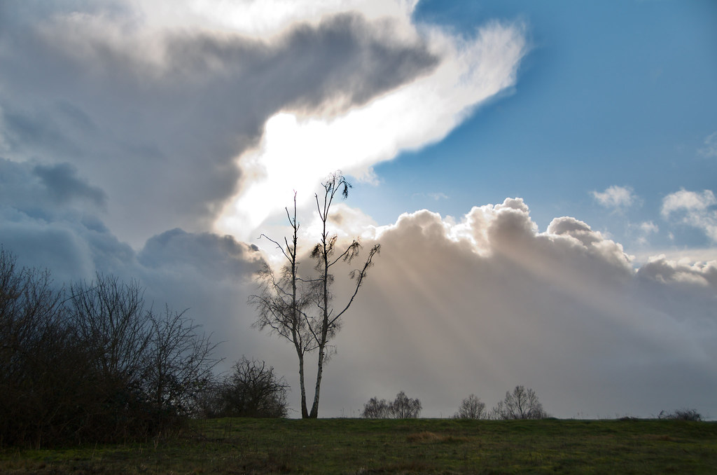 Norbury Park, Great Bookham Kate Fisher Flickr