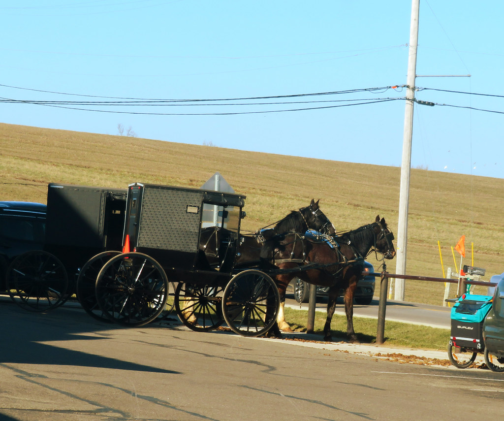 Troyer Market, Berlin, Ohio Amish buggies and bicycles in … Flickr