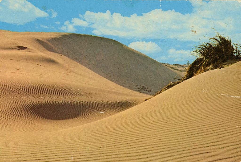 Lake Michigan Sand Dunes, 1980s Chesterton, Indiana a photo on
