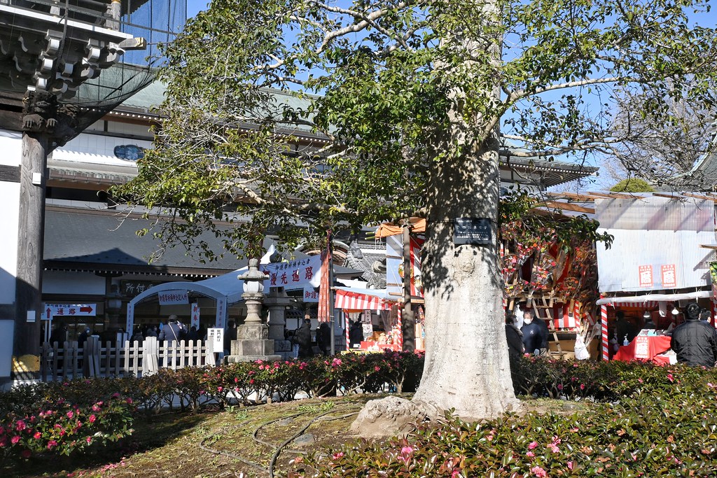 Tokyo Japan Trip.228 Nikon Zfc and Kit lens. Tokyo Japan T… Flickr