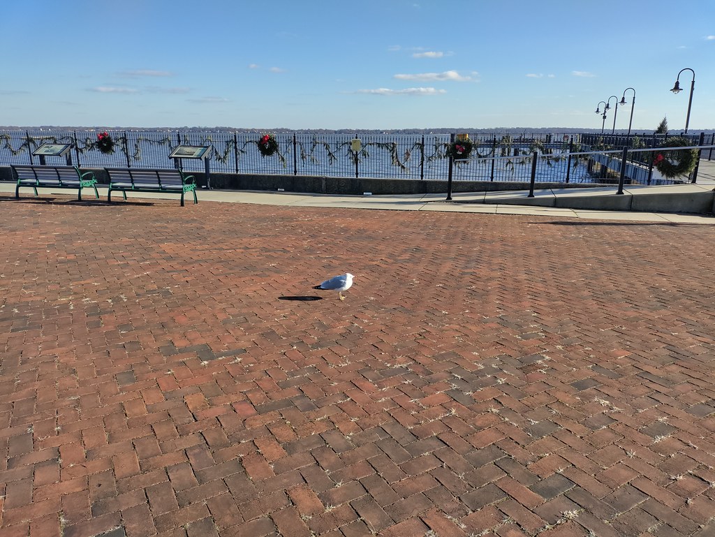 Battery Park New Castle, DE Morton Fox Flickr