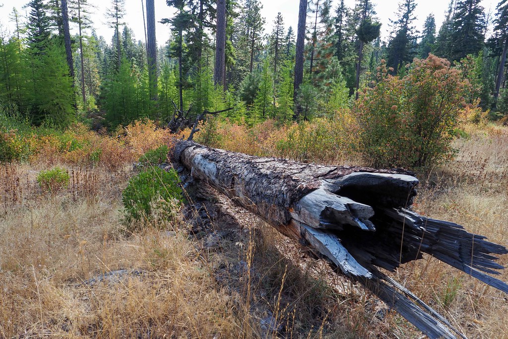 More Fire Damage Along side Dufur Valley Road. Eclectic Jack Flickr