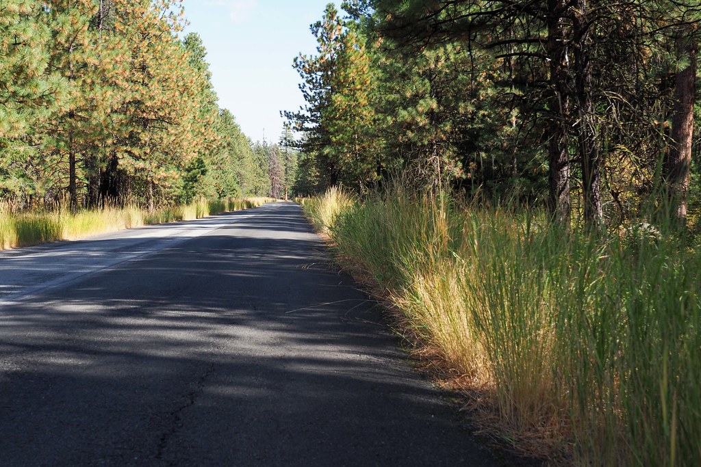 Dufur Valley Road Grasses Central Oregon Eclectic Jack Flickr