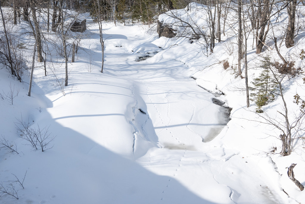 McIntyre Lake Trail Lookout Mar 4 202396.jpg Renee Wysynski Flickr