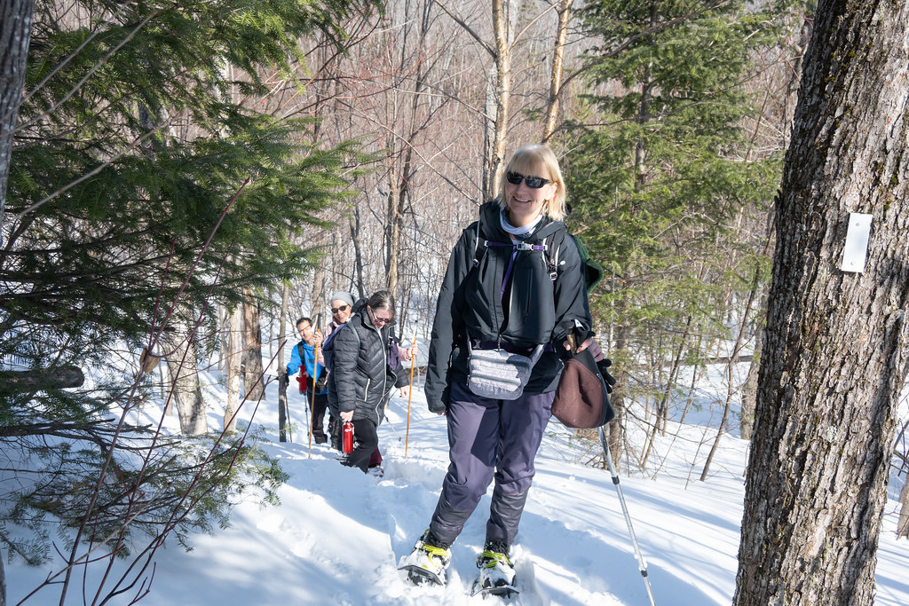McIntyre Lake Trail Lookout Mar 4 202344.jpg Renee Wysynski Flickr