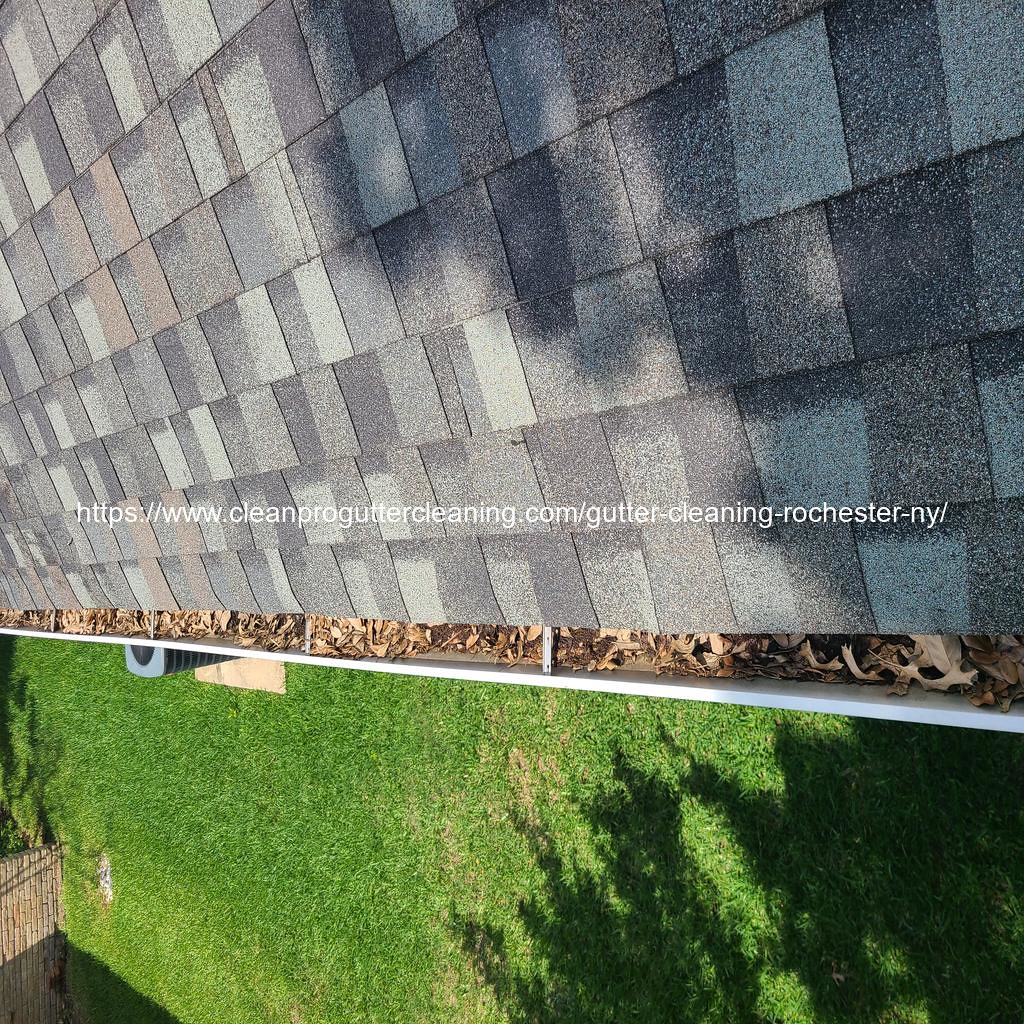 Gutter_Cleaning_Rochester1515_20230302095708 Clean Pro Gutter