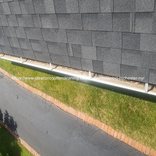 Gutter_Cleaning_Rochester1075_20230302094140 Clean Pro Gutter