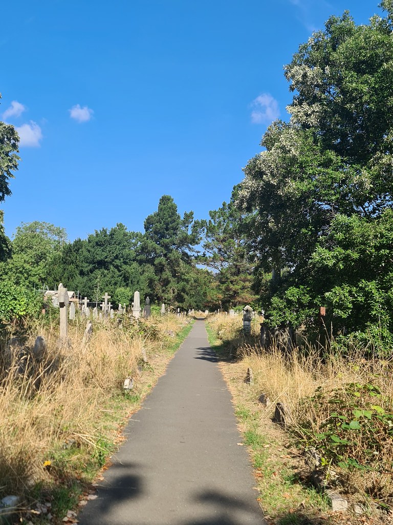 20220827_104927 Paul Carter Flickr