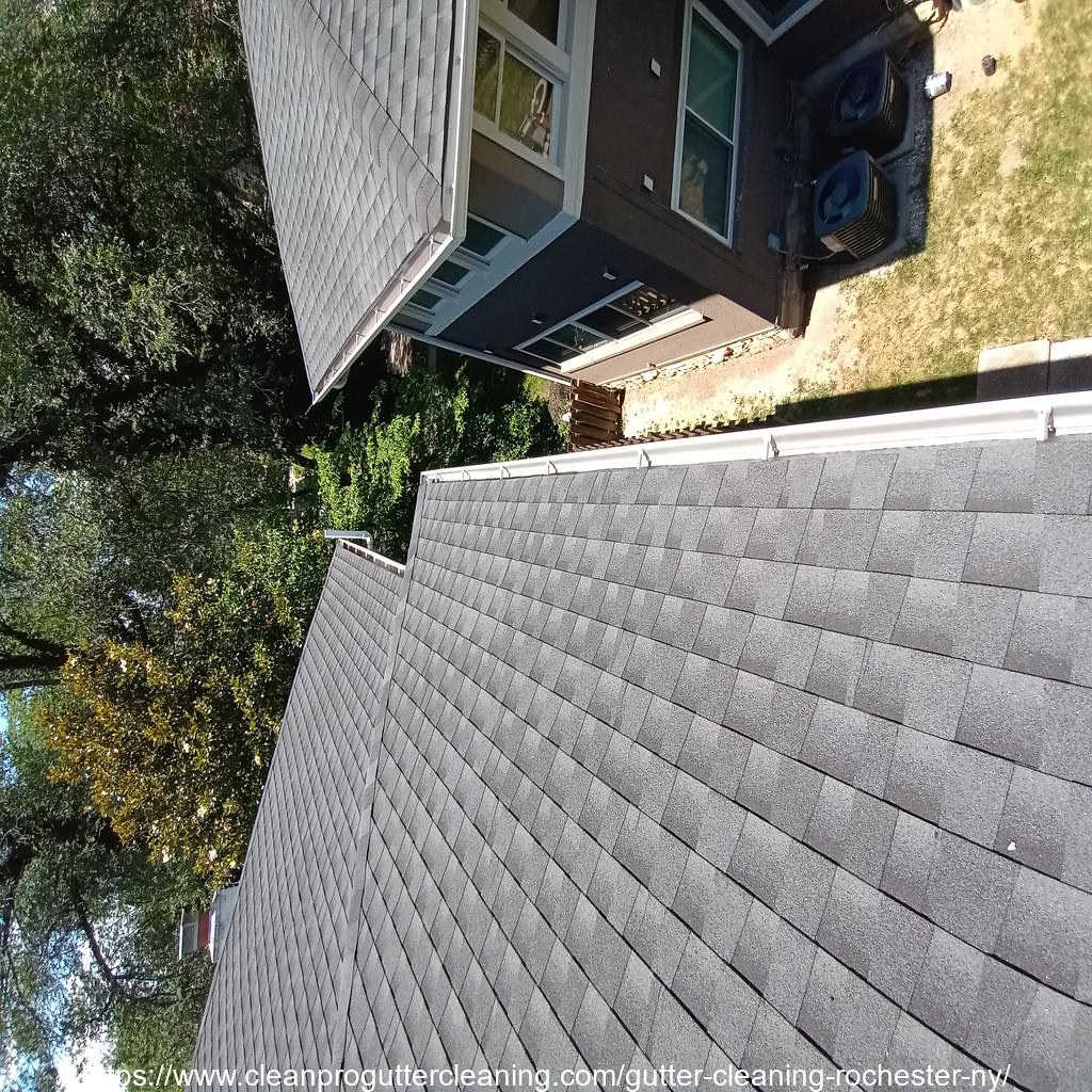 18_Gutter_Cleaning_Rochester_0002_20230306124400 Clean Pro Gutter