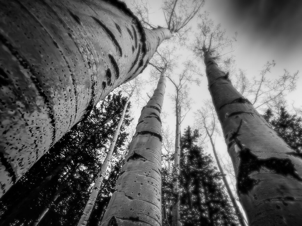 Colorado photography by PhantomEarthCreation 🌲 ️ Tierra Linville Flickr