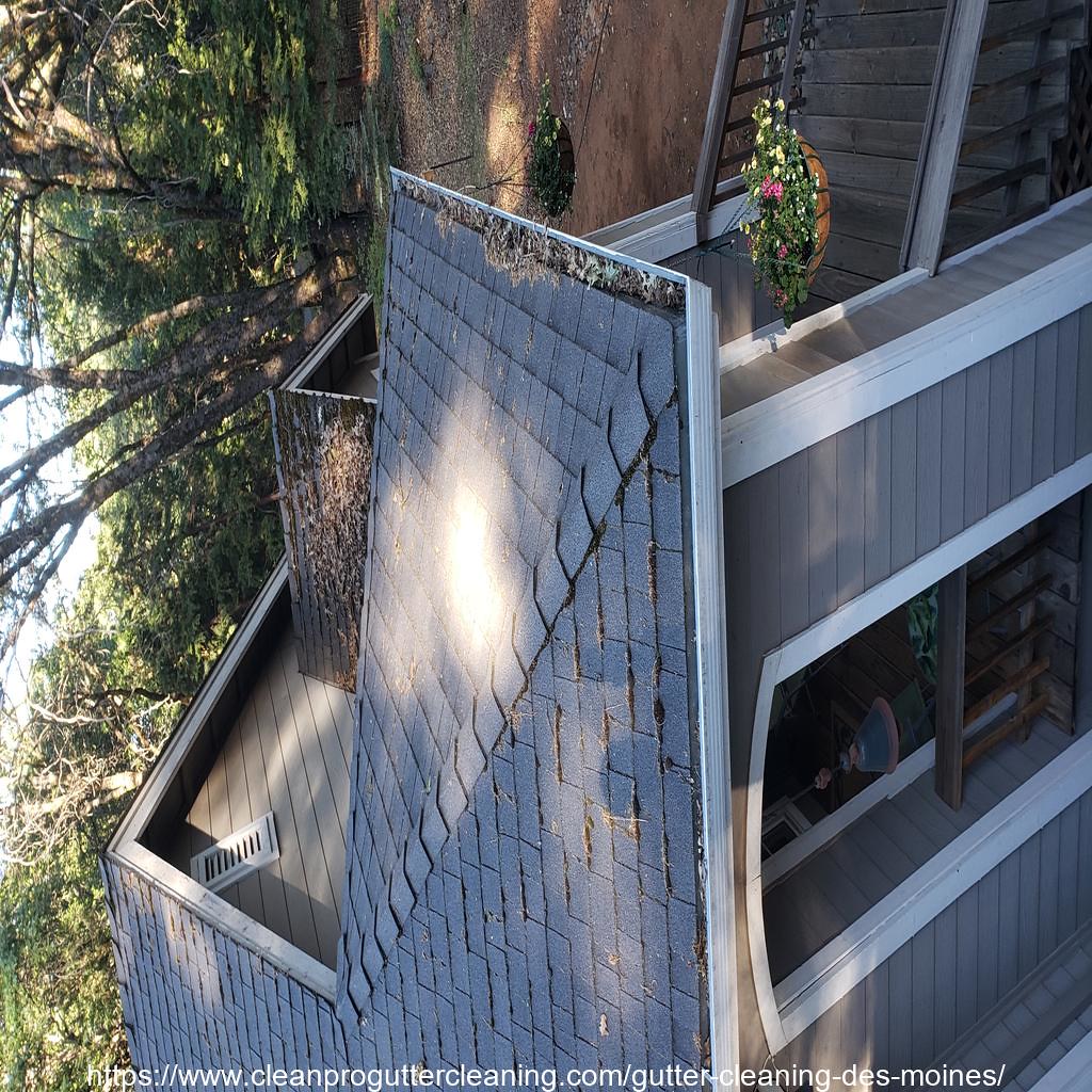 Gutter_Cleaning_Des Moines_0003_20230306125651 Clean Pro Gutter