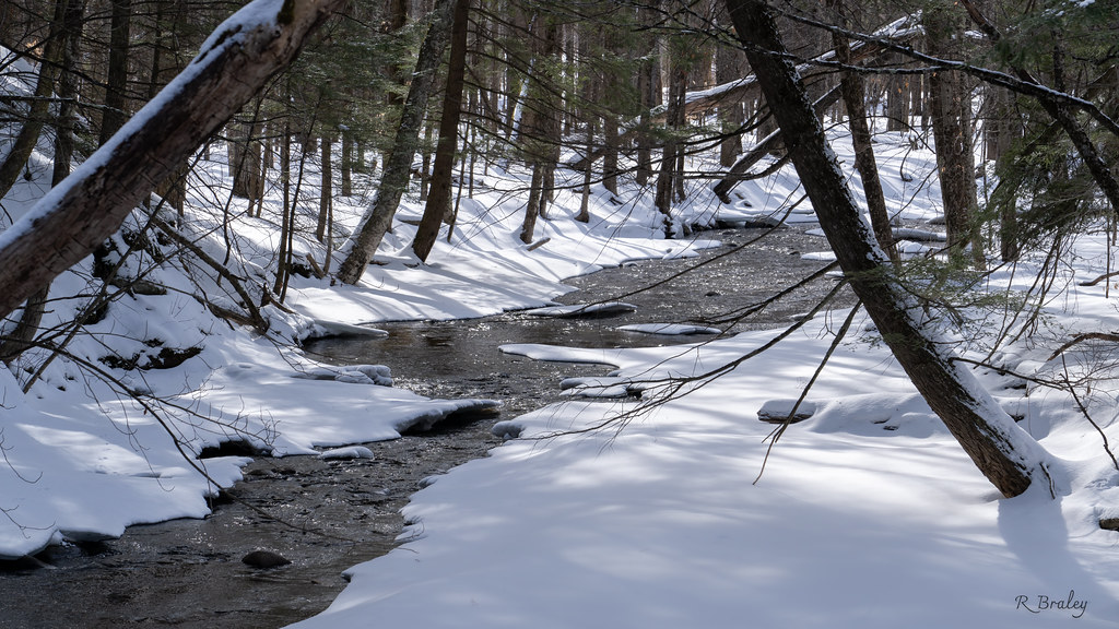 Mill Brook 2 Jericho VT Rick Braley Flickr