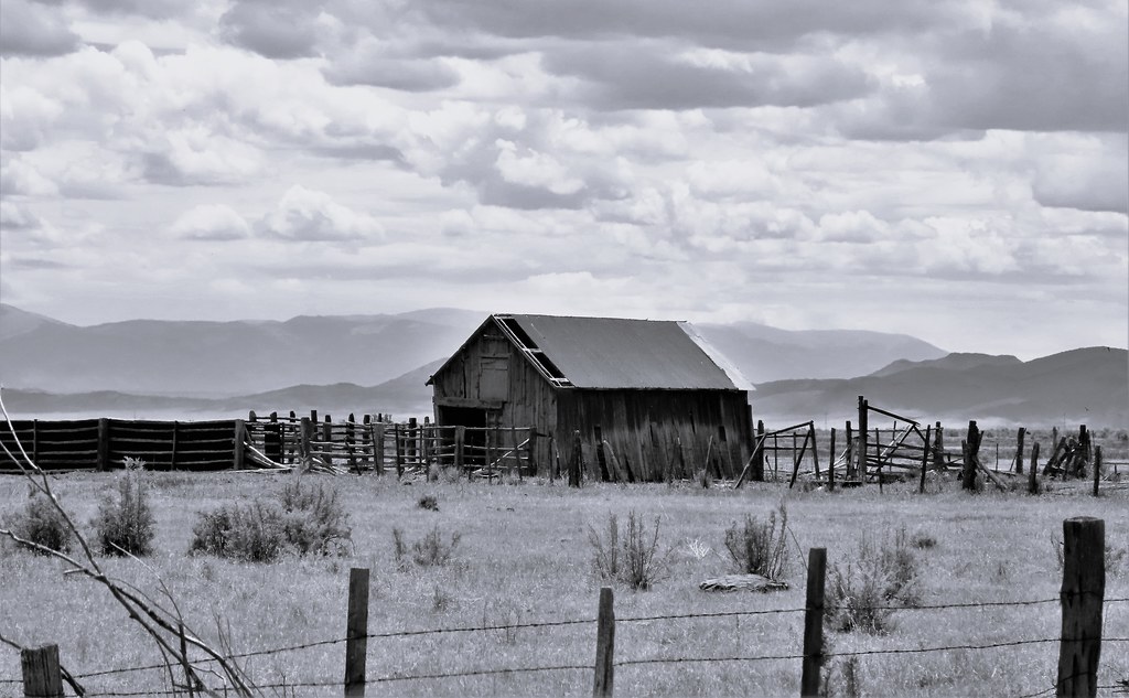 Long Time Gone Along South River Road in the San Luis Vall… Flickr