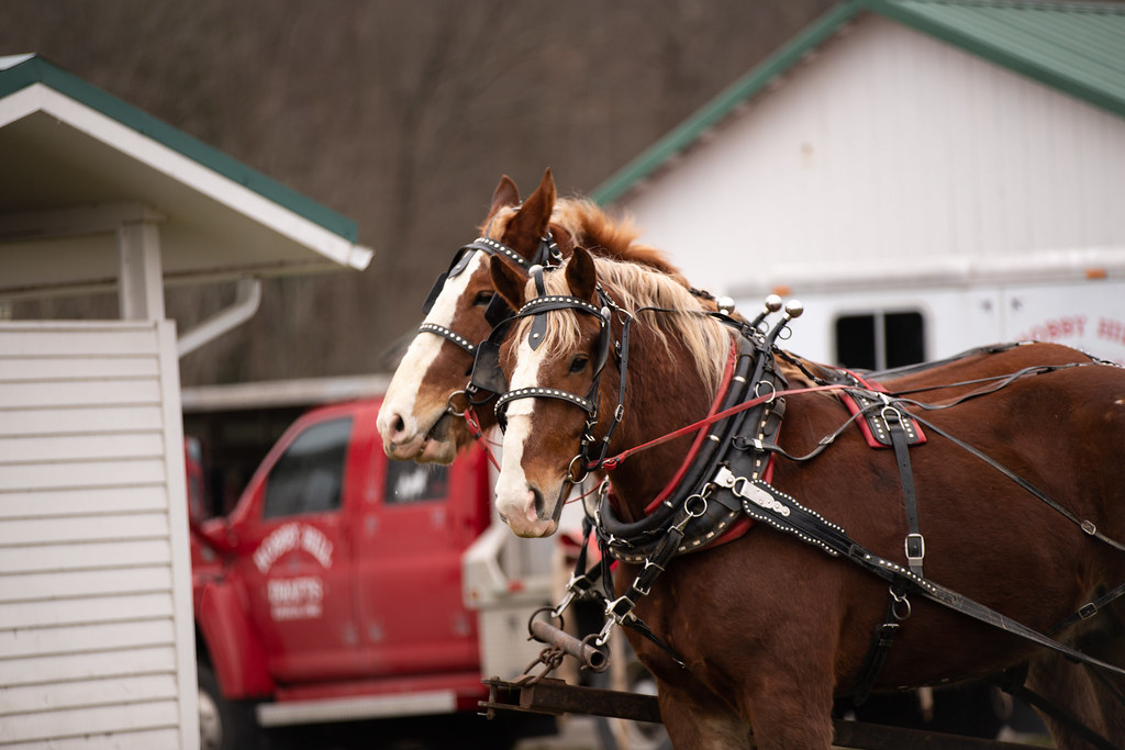 46th Annual Maple Syrup Festival at Malabar Farm State Park Flickr