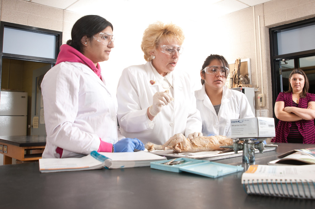 Biology students learning Maslich Lab Biology students l… Flickr