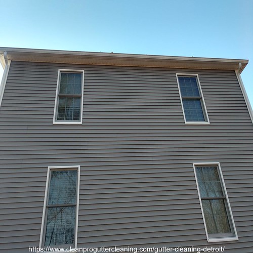 Gutter_Cleaning_Detroit_0007_20230306082257 Clean Pro Gutter Cleaning