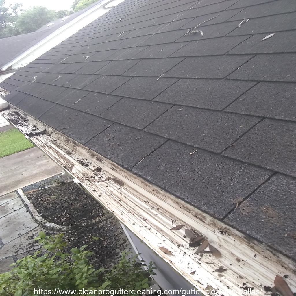 Gutter_Cleaning_Dallas_0084_20230304120604 Clean Pro Gutter Cleaning