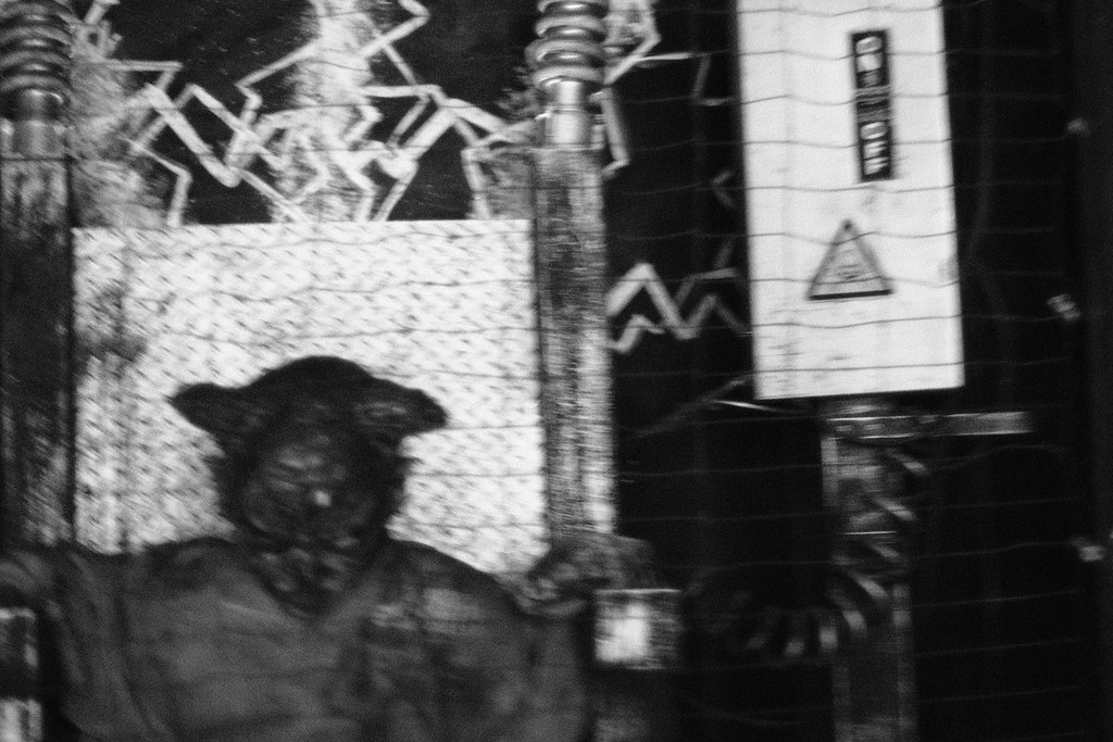 Strawberry Festival 2023, Fujifilm XT2 Adam Roberts Flickr