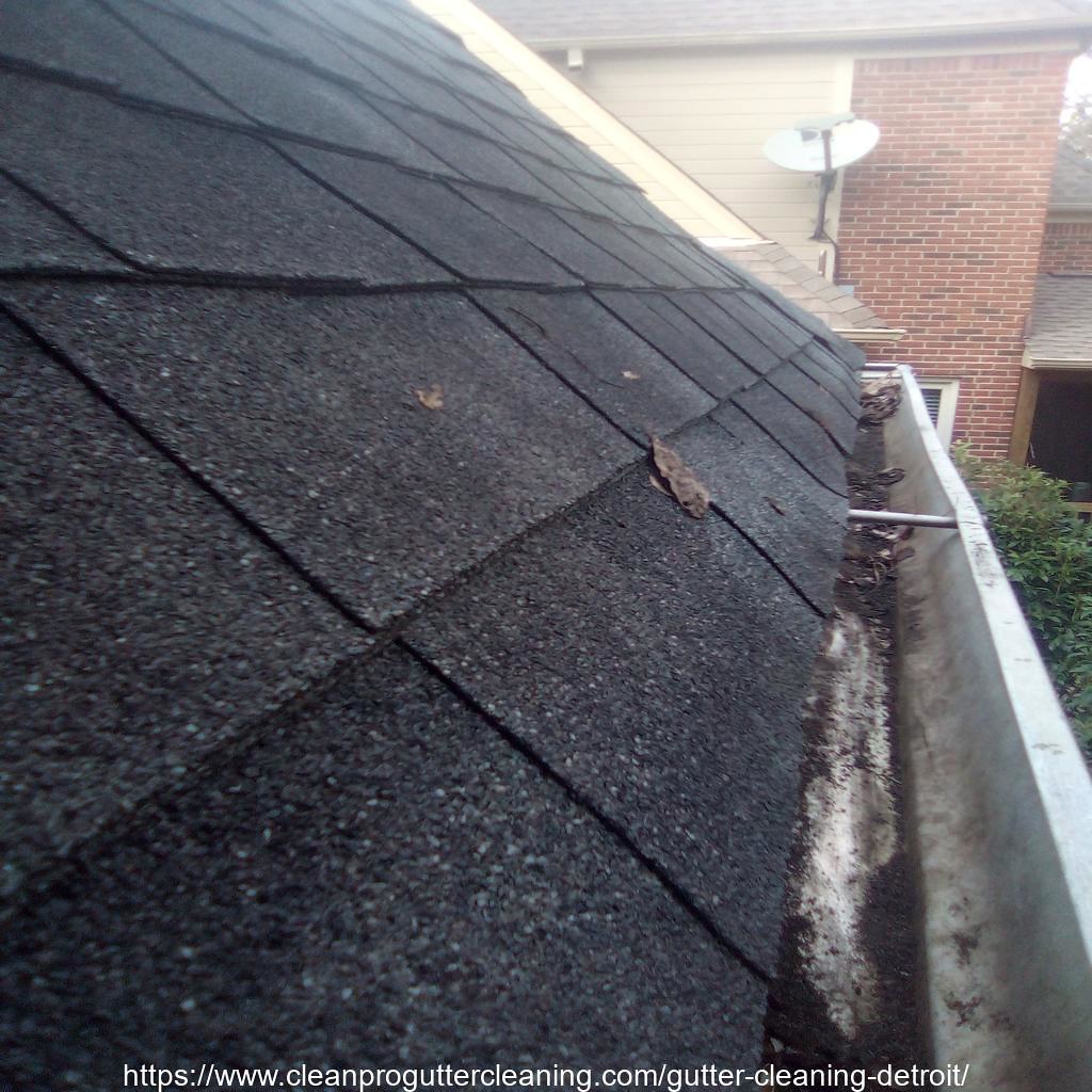 Gutter_Cleaning_Detroit_0003_20230306082248 Clean Pro Gutter Cleaning