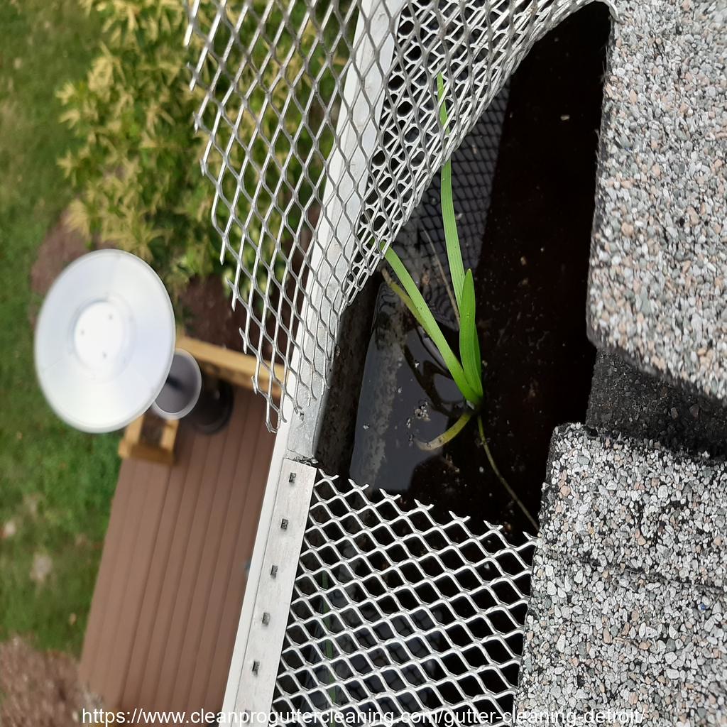 Gutter_Cleaning_Detroit_0005_20230306102311 Clean Pro Gutter Cleaning