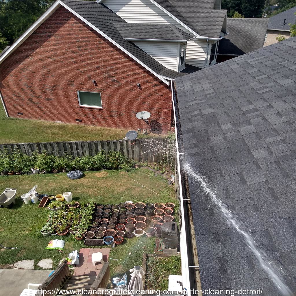 Gutter_Cleaning_Detroit_0008_20230306150350 Clean Pro Gutter Cleaning