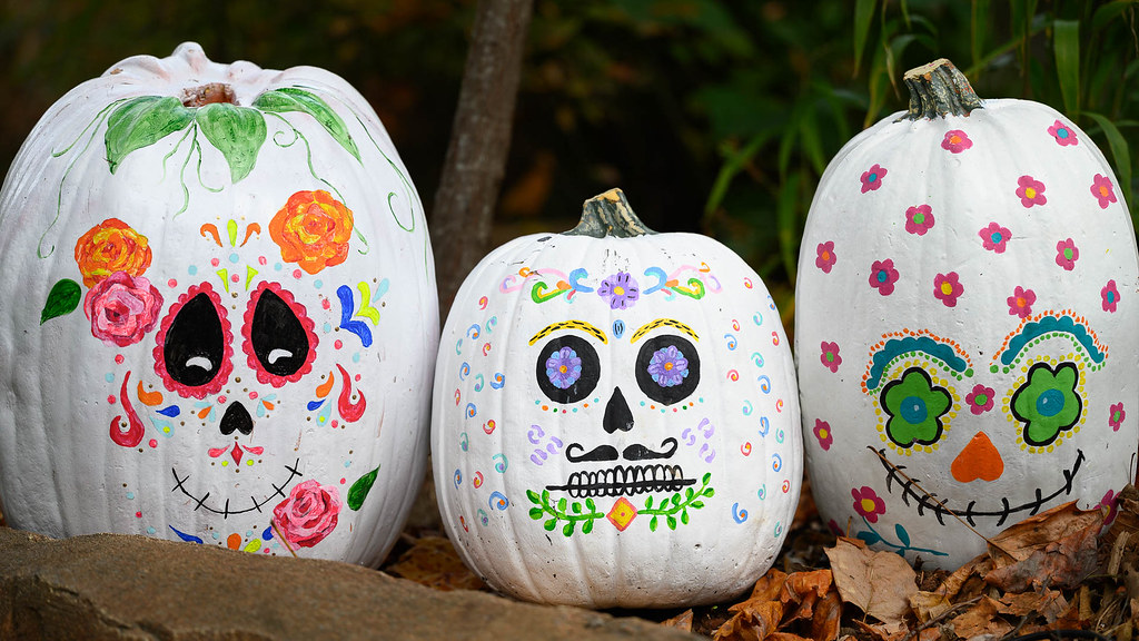 el Dia de los Muertos.jpg The Nashville Zoo Keller McBride Flickr