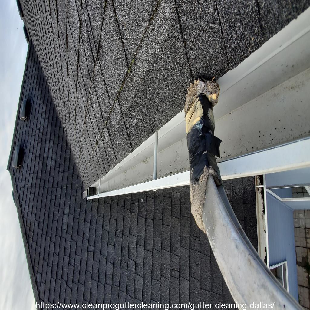 Gutter_Cleaning_Dallas_1614_20230304125438 Clean Pro Gutter Cleaning