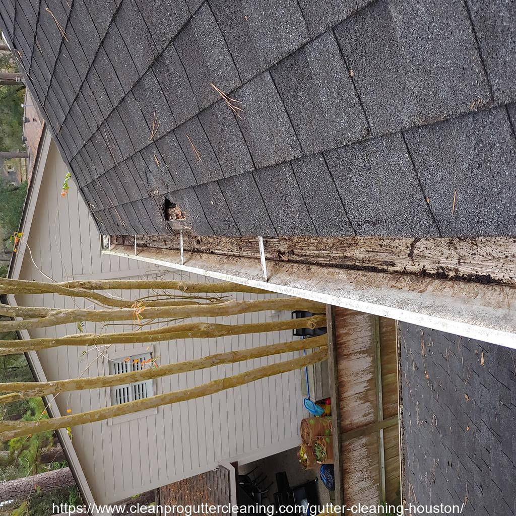 Gutter_Cleaning_Houston_0003_20230306072456 Clean Pro Gutter Cleaning