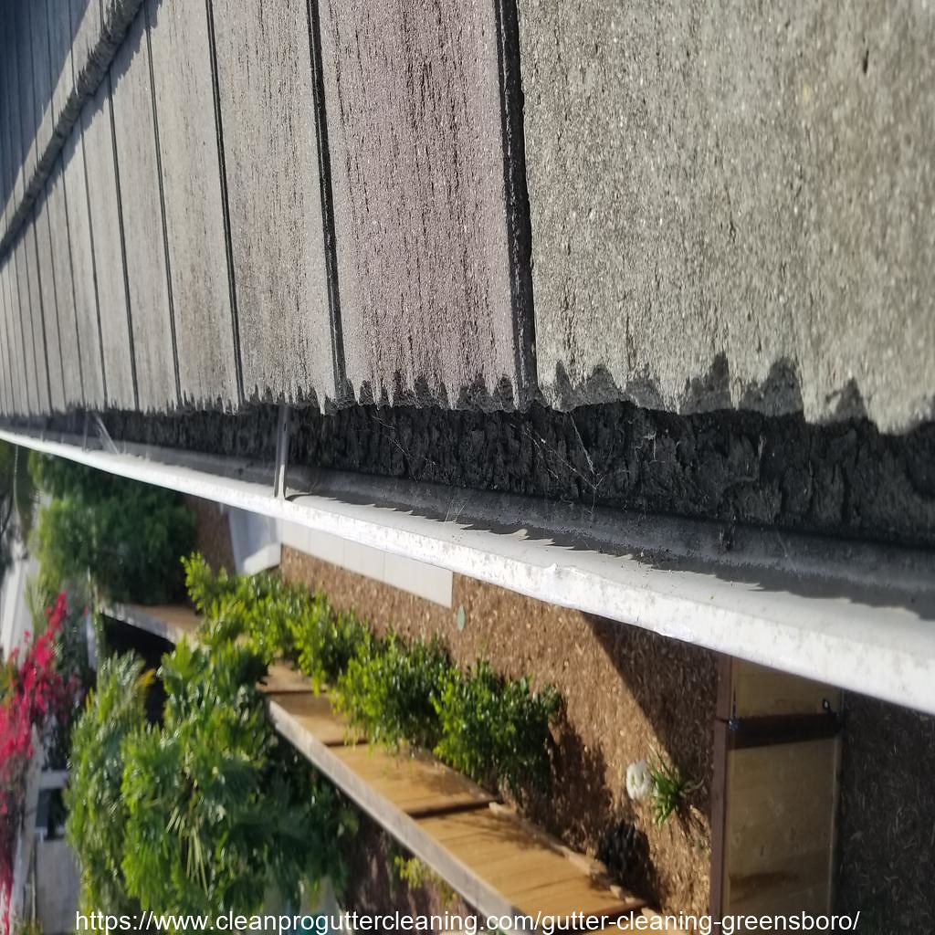 Gutter_Cleaning_Greensboro_0004_20230306130259 Clean Pro Gutter